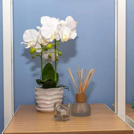 Indigo Moon's Secret Sanctuary In Alfama Apartment *